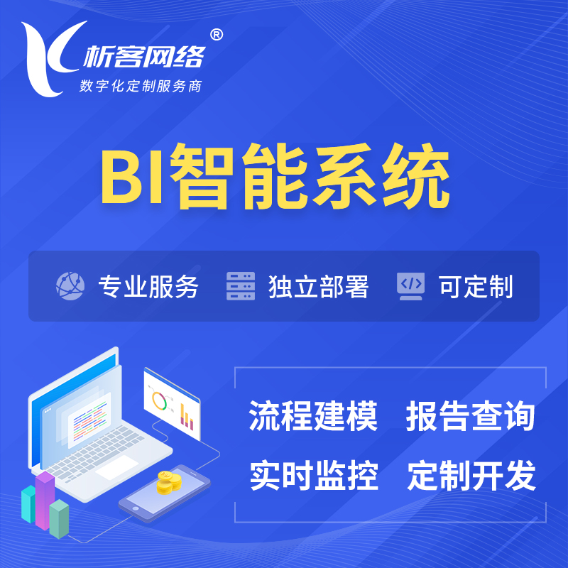 哈尔滨BI智能系统 | BI数据可视化