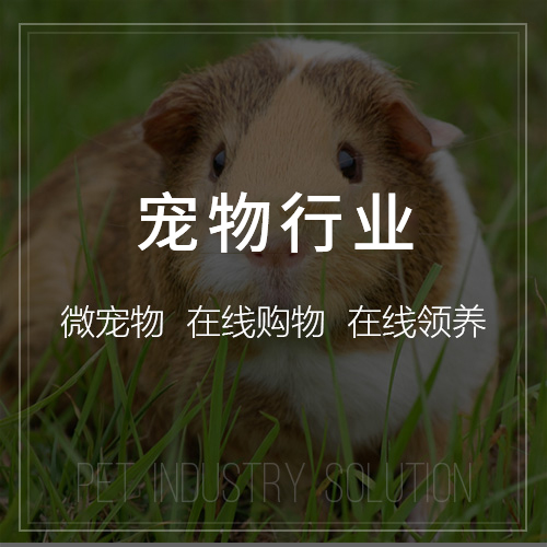 哈尔滨集运系统制作的物流效率提升方案